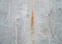 Carpet Stain Removal Tips For Renters