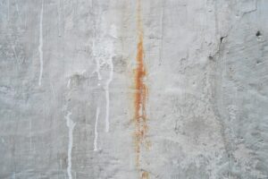Carpet Stain Removal Tips For Renters